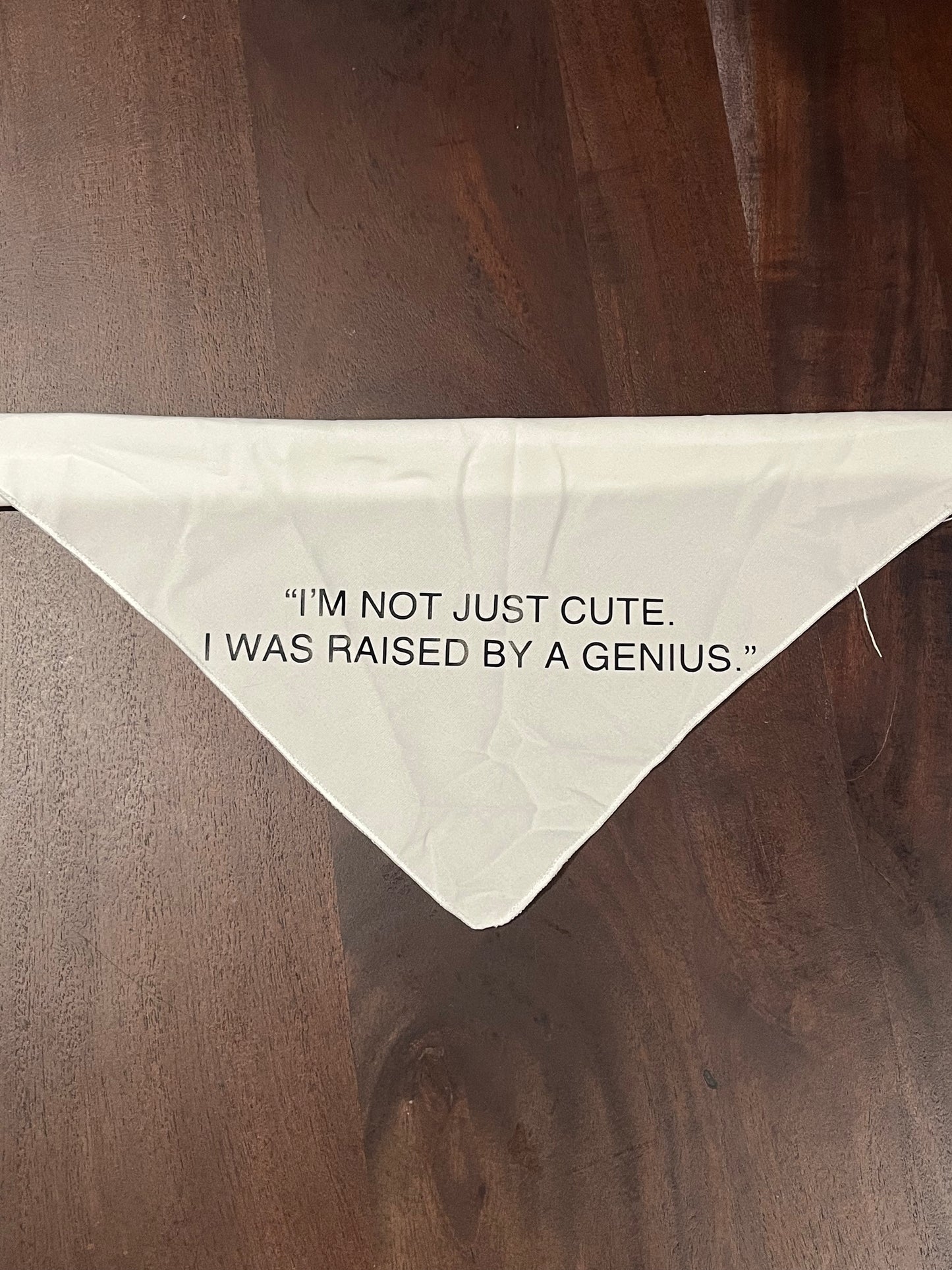 Buddy Bandanas White